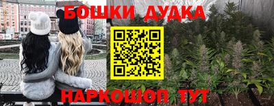 крисы Жуковский