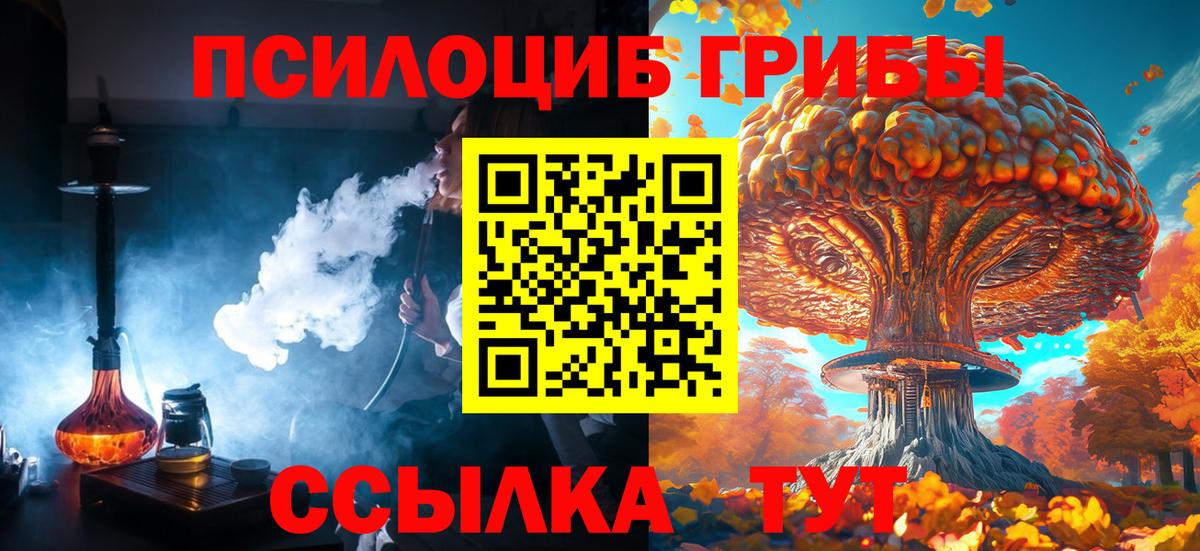 Галлюциногенные грибы Magic Shrooms Менделеевск