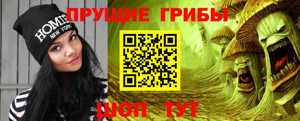 Галлюциногенные грибы Psilocybine cubensis  Вход с VPN  Менделеевск 